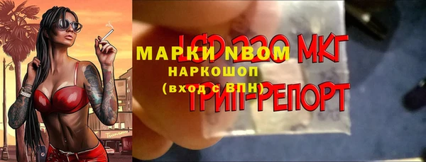 МДПВ Бронницы