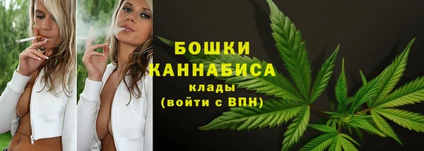 spice Верея