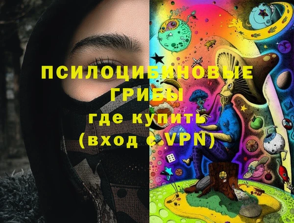 индика Волоколамск