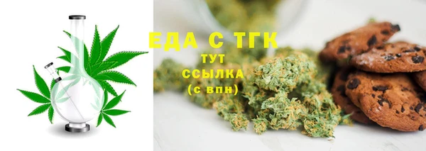 индика Волоколамск