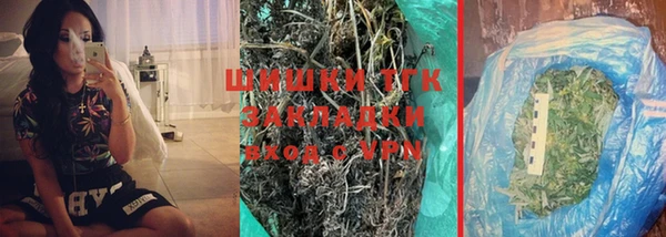 прущие грибы Верхнеуральск