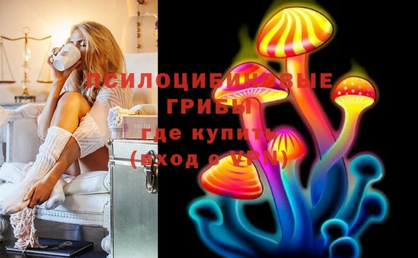МДПВ Бронницы