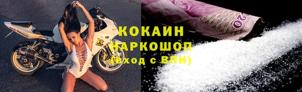 СК Бородино