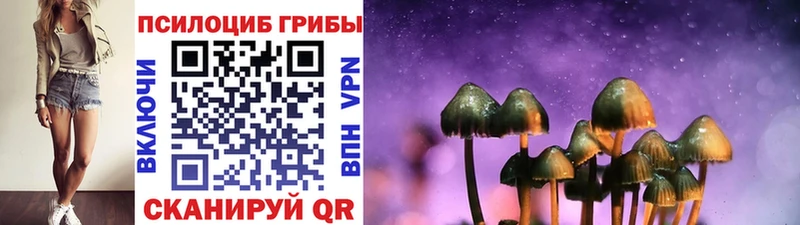 mega зеркало  Верхняя Тура  Псилоцибиновые грибы Magic Shrooms 