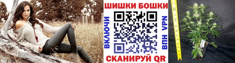 Шишки марихуана сатива  что такое   Верхняя Тура 
